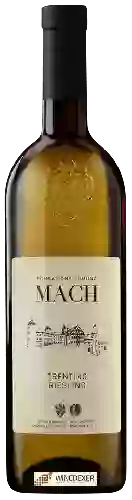 Winery Fondazione Edmund Mach - Riesling Trentino