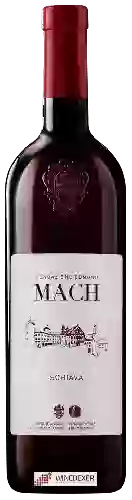 Winery Fondazione Edmund Mach - Schiava