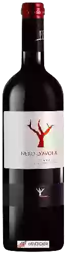 Winery Fondo Antico - Nero d’Avola