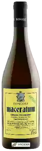 Winery Fongoli - Maceratum Trebbiano