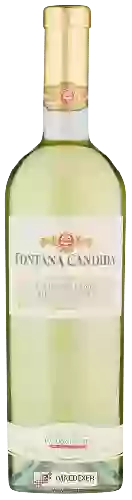 Winery Fontana Candida - Frascati Cannellino