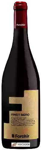 Winery Forchir - Pinot Nero