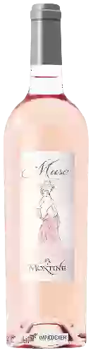 Domaine de Montine - Muse Rosé