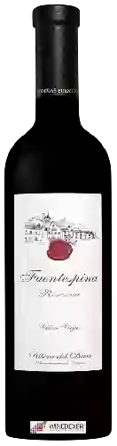 Bodegas Fuentespina - Reserva Viñas Viejas