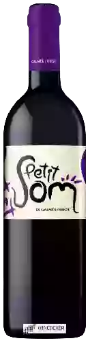 Winery Galmes I Ribot - Petit Som Red