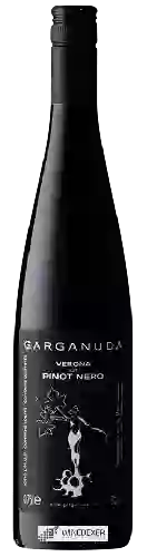 Winery Garganuda - Pinot Nero