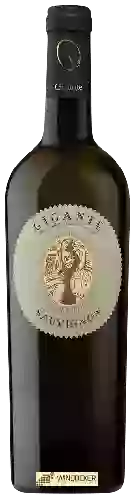 Winery Gigante - Sauvignon