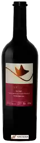 Winery Theilervini - Gioia d'Autunno Merlot Barrique