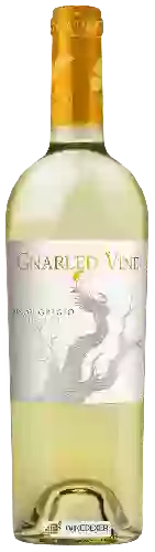 Winery Gnarled Vine - Pinot Grigio