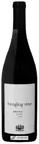 Winery Hanging Vine - Parcel 22 Pinot Noir