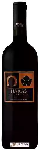 Winery Haras de Pirque - Character Syrah