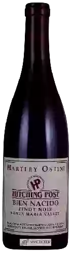 Winery Hartley Ostini Hitching Post - Bien Nacido Vineyard Pinot Noir