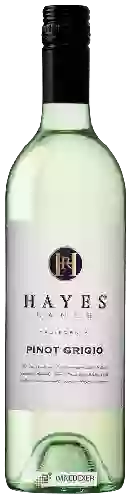 Winery Hayes Ranch - Pinot Grigio