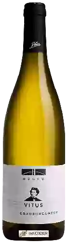 Winery Heger - Vitus Grauburgunder