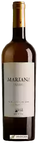 Winery Herdade do Rocim - Mariana Branco