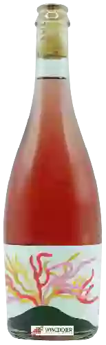 Winery Ibi Wines - Apollo Zweigelt Rosé