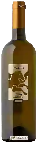 Winery Icario - Nysa