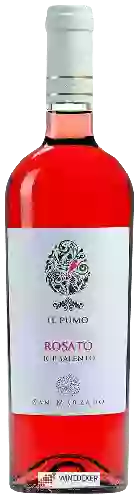 Winery Il Pumo - Salento Rosato