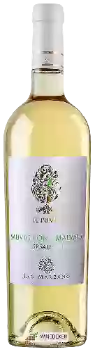 Winery Il Pumo - Sauvignon - Malvasia