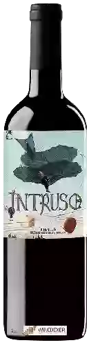 Winery Intruso - Jumilla