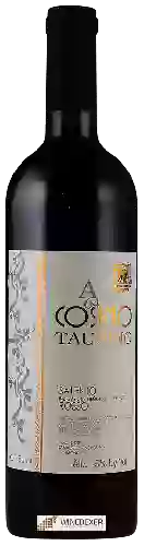 Winery Taurino - A64 Cosimo