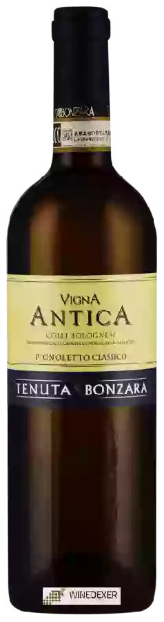 Winery Tenuta Bonzara - Vigna Antica Pignoletto Classico