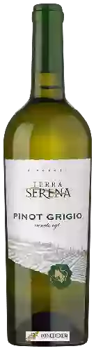 Winery Terra Serena - Pinot Grigio Veneto