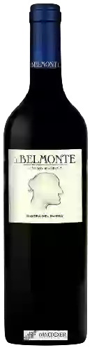 Winery J. Belmonte - 8 Meses Barrica