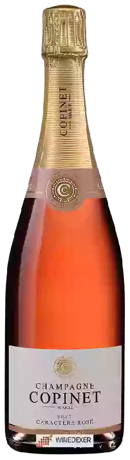 Winery Copinet - Caractère Rosé Brut Champagne