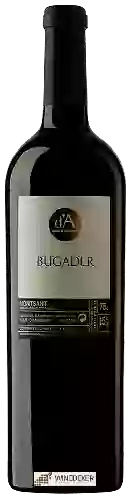 Winery Joan d'Anguera - Bugader