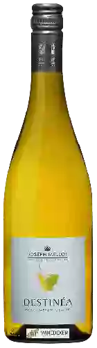 Winery Joseph Mellot - Destinéa Sauvignon Blanc