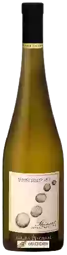 Winery Julien Schaal - Alsace Grand Cru 'Steinert' Gewürztraminer