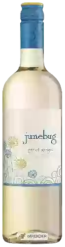 Winery Junebug - Pinot Grigio