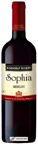 Winery Karnobat - Sophia Merlot