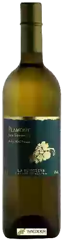 Winery La Rodeline - Plamont Les Terrasses
