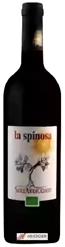 Winery La Spinosa - SoleArraggiato