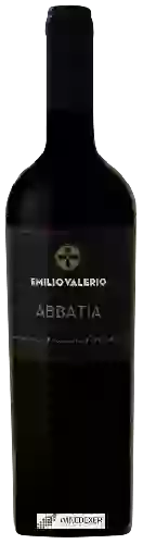 Winery Laderas de Montejurra - Emilio Valerio Abbatia