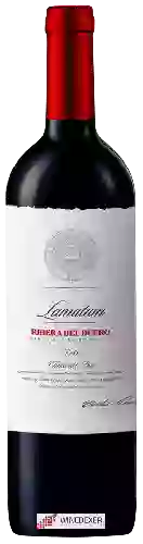 Winery Lamatum - Roble