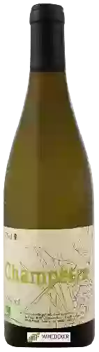 Winery Laurent Cazottes - Champêtre Blanc