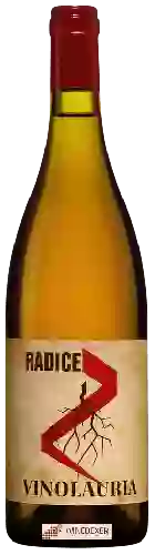 Winery Vino Lauria - Radice