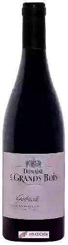 Domaine Les Grands Bois - Cuvée Gabrielle Côtes du Rhône Villages