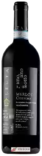 Winery Leuta - 1,618 Merlot Cortona