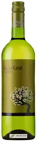 Winery Lime Leaf - Verdejo