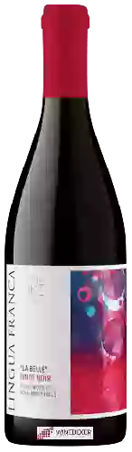 Winery Lingua Franca - La Belle Pinot Noir