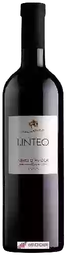 Winery Linteo - Nero d'Avola