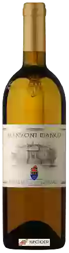 Winery Loredan Gasparini - Manzoni Bianco