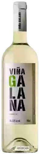 Winery Finca Los Aljibes - Viña Galana Verdejo