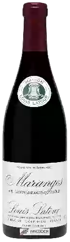 Winery Louis Latour - Maranges