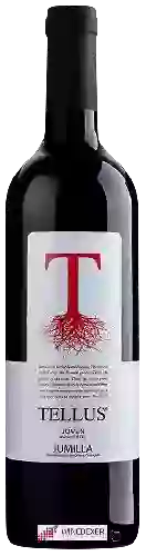 Winery Luzon - Jumilla Joven Tellus