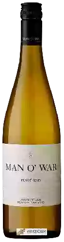 Winery Man O' War - Pinot Gris